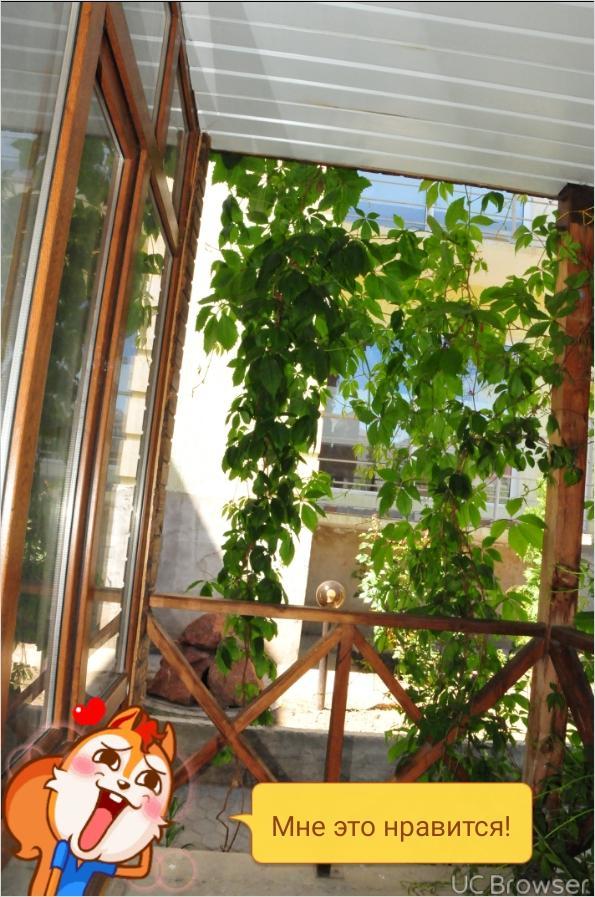 Hotel Gostinyi Dvor Bosteri Bagian luar foto